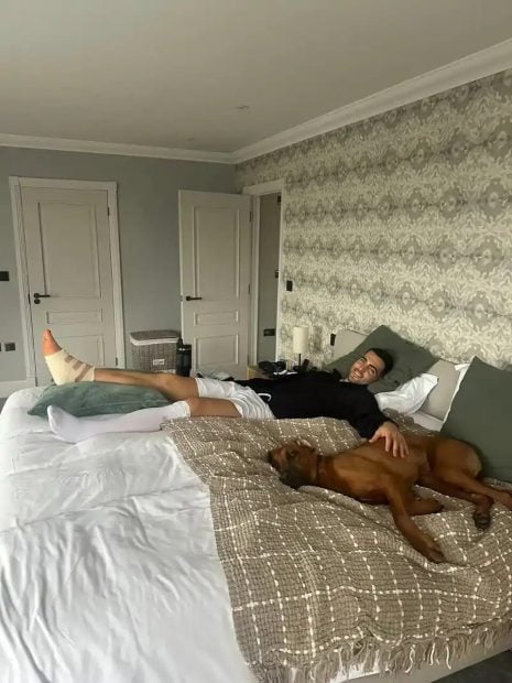 Lola Liberal, Mikel Merino