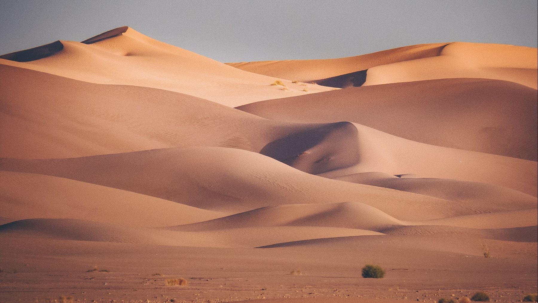 Marruecos gana la batalla al desierto y transforma más de 1.000 hectáreas de Sáhara en tierras de regadío gracias al riego por goteo