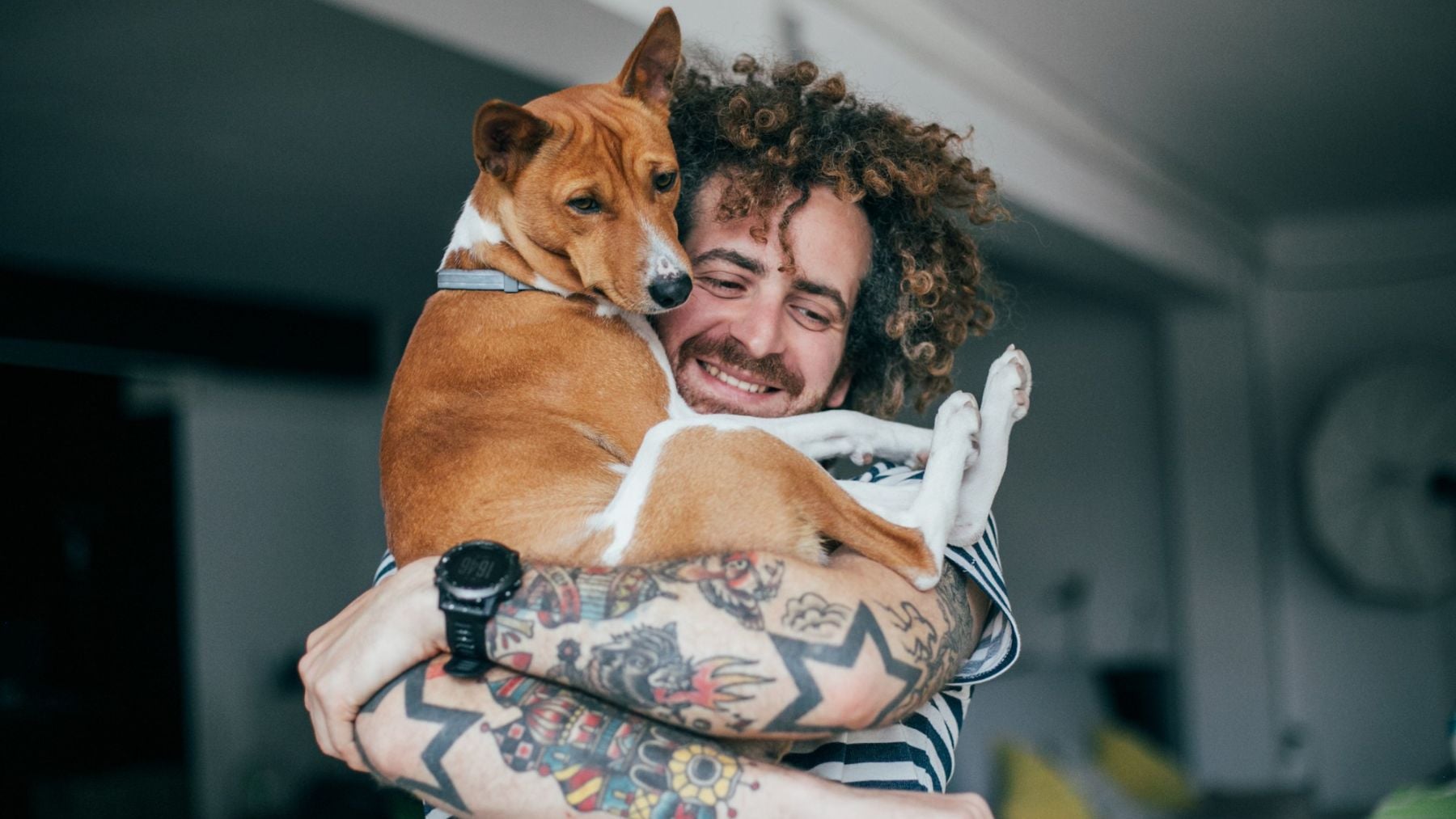 Una experta veterinaria española señala el error que cometen muchos dueños de perros sin saberlo