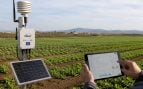 Agricultura de precisión en Cartagena, Cartagena y agricultura, riego de precisión con IA en Cartagena, regadío de precisión con inteligencia artificial.