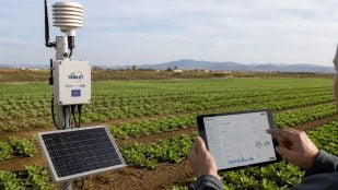 Agricultura de precisión en Cartagena, Cartagena y agricultura, riego de precisión con IA en Cartagena, regadío de precisión con inteligencia artificial.