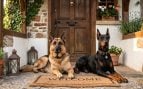 Perros