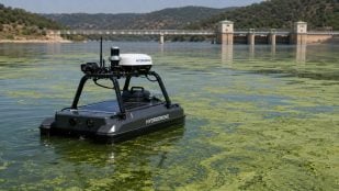 Plagas algas tóxicas en embalses de Marruecos, Marruecos usa drones con IA contra algas tóxicas, alga tóxica en Marruecos, plaga de alga tóxica en Marruecos.