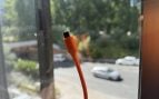 cables movil
