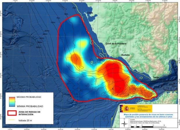 interaccion-orcas-cadiz