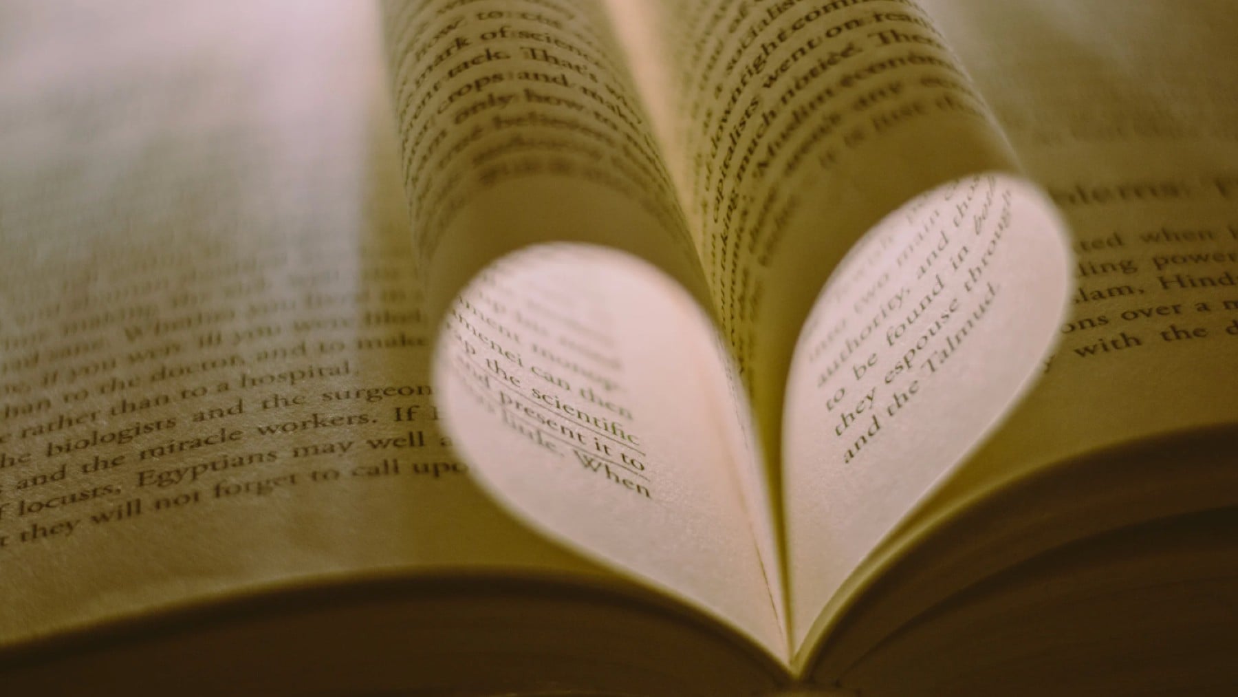 Recomendaciones literarias de la semana.