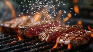 Solomillo a la brasa