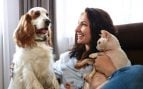 La regla de los 7 segundos y otros consejos para cuidar a tu mascota en verano