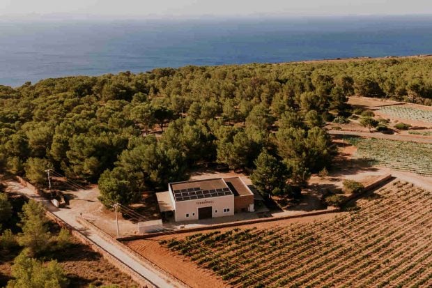 terramoll vinos formentera