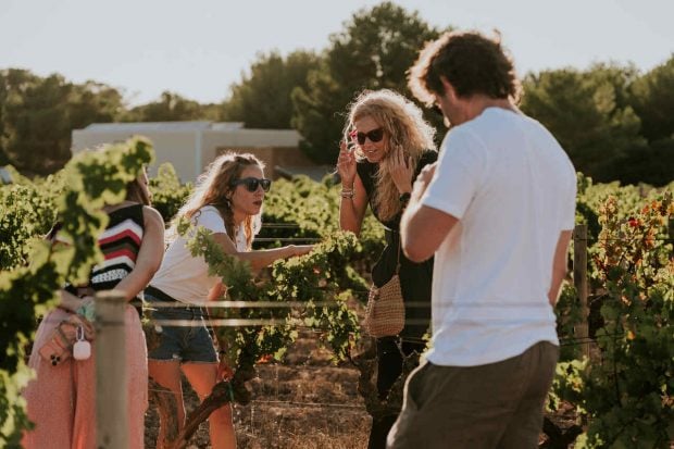 terramoll vinos formentera