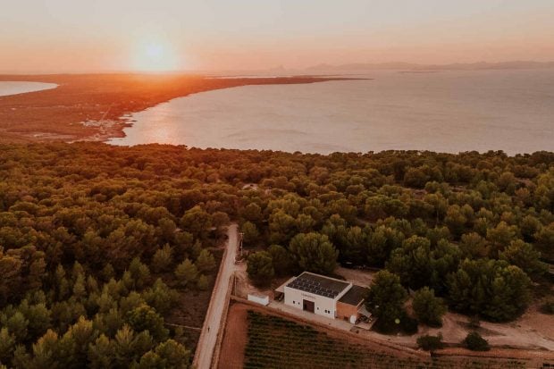 terramoll vinos formentera