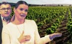 El Govern de Prohens aplaza hasta después del verano la aprobación de la ley agraria pactada entre PP y Vox