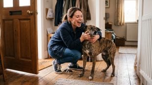 Persona con su perro en casa