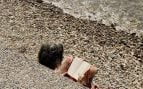 libros lectura verano