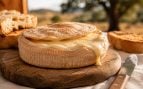 Queso, comida, alimento