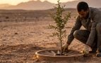 captación de agua para alimentar bosques