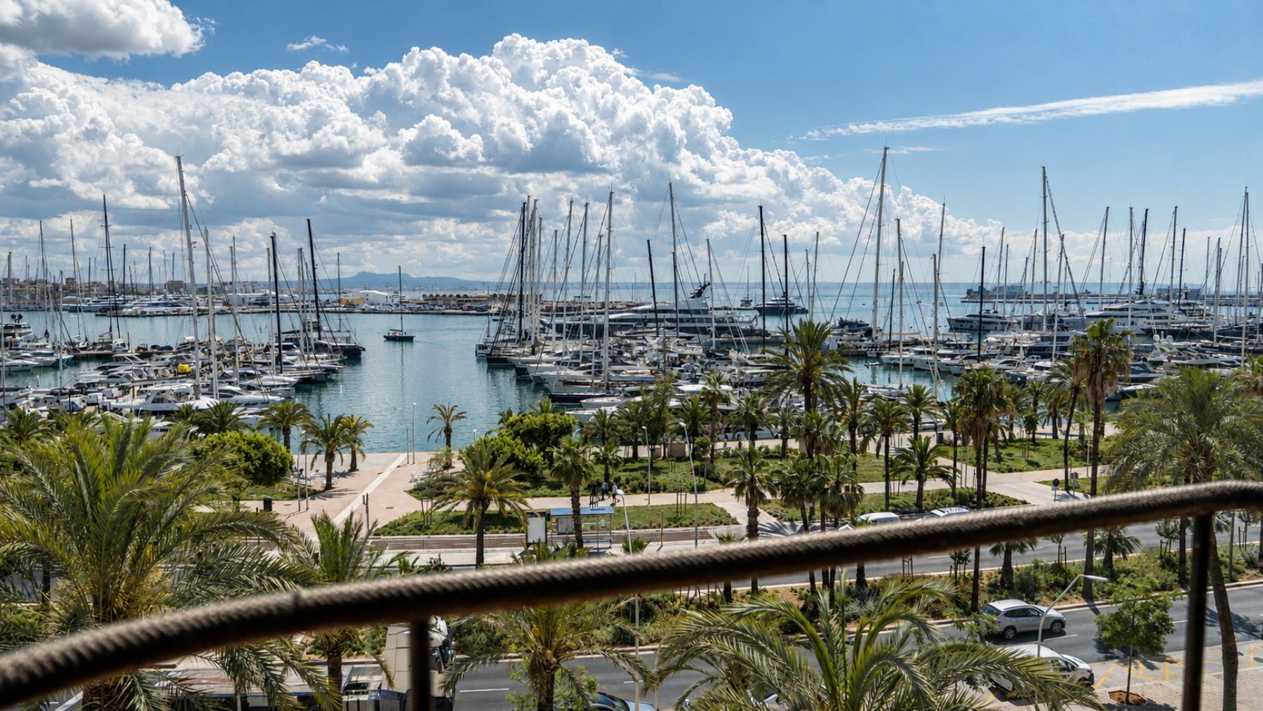 (Foto: Fitz Mallorca)
