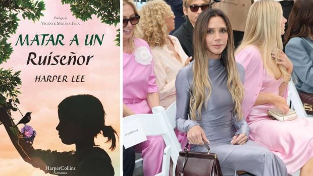 libros favoritos famosos