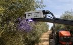 Luz UV-C en agricultura, experimento con luz ultravioleta en el olivar, mejora olivos andaluces, cómo mejorar agricultura de Andalucía.