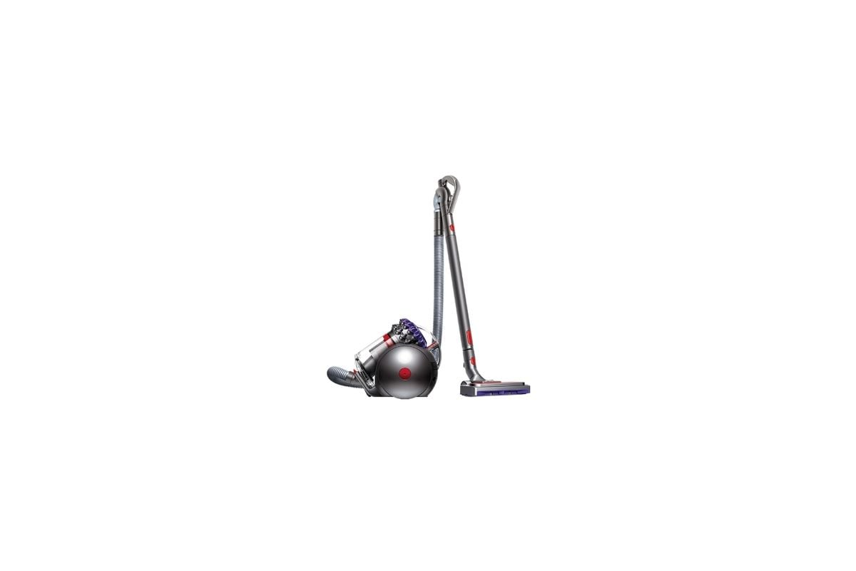 Dyson Big Ball Parquet 2