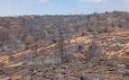 incendio de Almería
