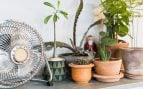 Ventiladores, verano, calor, truco