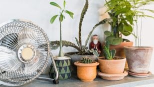Ventiladores, verano, calor, truco