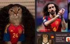Marc Cucurella Google