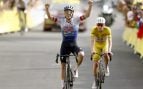 evenepoel pogacar