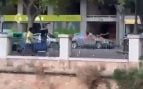 batalla pelea Palma Paseo Mallorca palos Comisaría