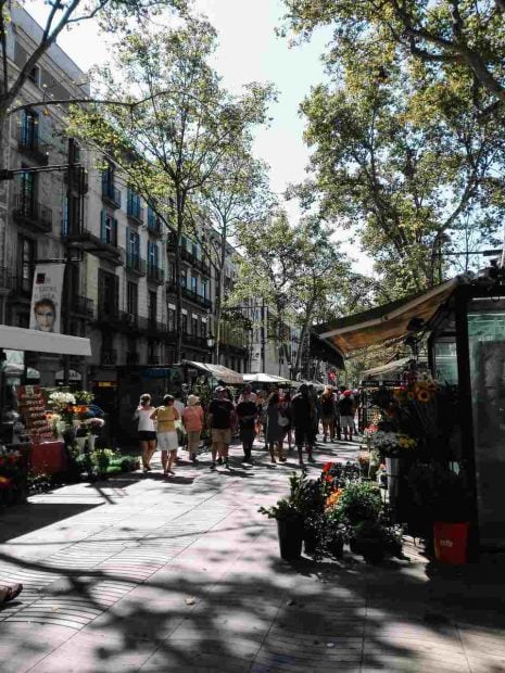 actividades barcelona arquitectura