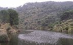 Madrid, piscinas naturales, turismo