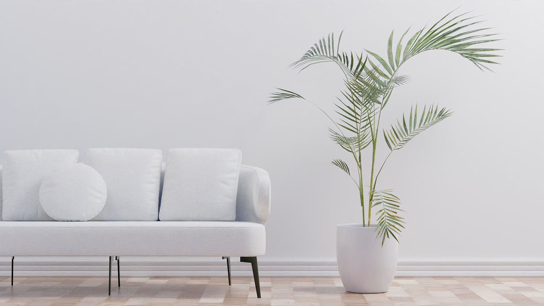 Olvídate del ficus y del aloe vera: la planta que refresca el ambiente de tu casa en verano y te ayuda a crear un refugio verde