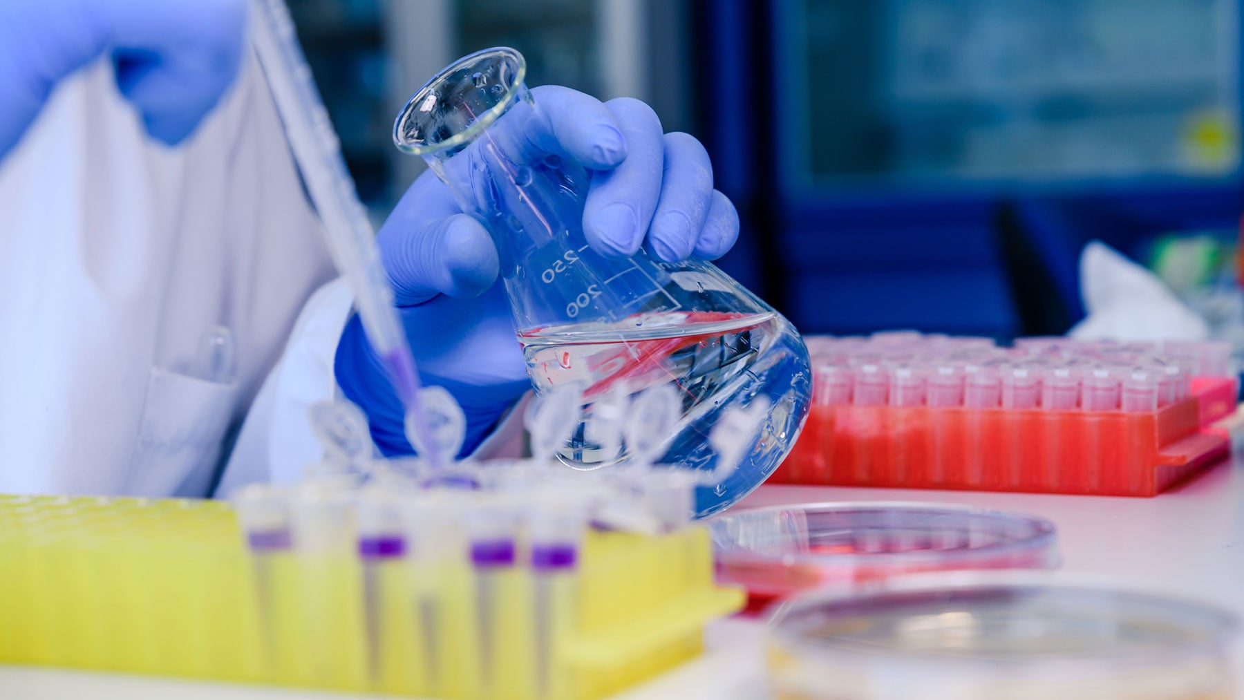 Un medicamento para la epilepsia refuerza la respuesta inmunitaria inducida por las vacunas