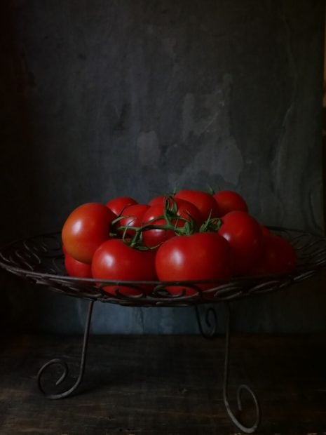 tomate de temporada