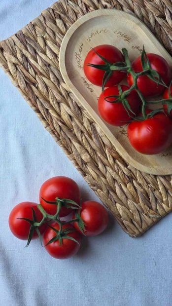 tomate de temporada