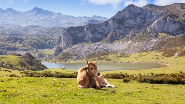 picos-de-europa
