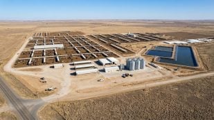 Realizan un programa piloto de seis meses sobre biocombustibles en una granja lechera de California, y logran producir combustible para aviones (SAF). FOTO: Circularity Fuels