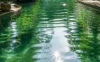 Piscina con agua verde