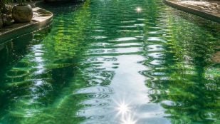 Piscina con agua verde