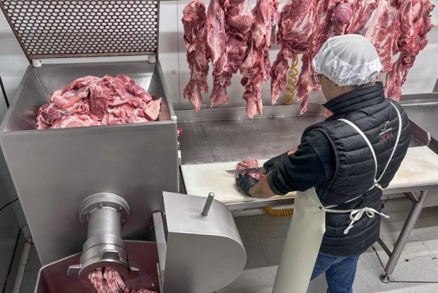 Embutidos, alimentos, chorizo