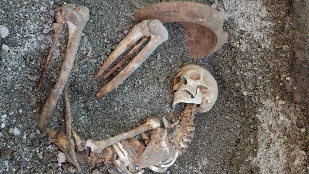 Esqueleto del hombre que huía con un mortero en la cabeza. Foto: Parque arqueológico de Pompeya
