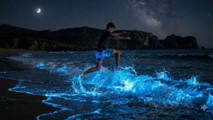 Persona en el mar de Ardora