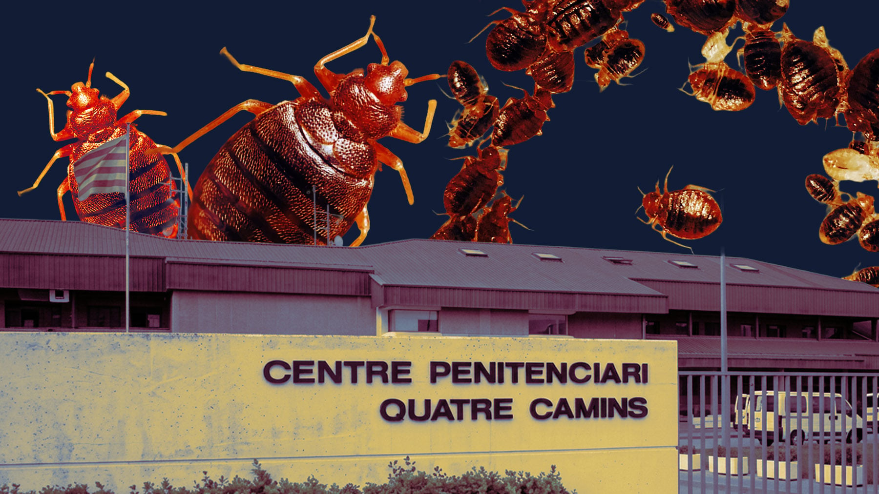 Una plaga de chinches se extiende por dos cárceles catalanas