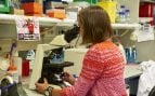 Varias investigaciones relacionan el cerebro con la infertilidad y el metabolismo