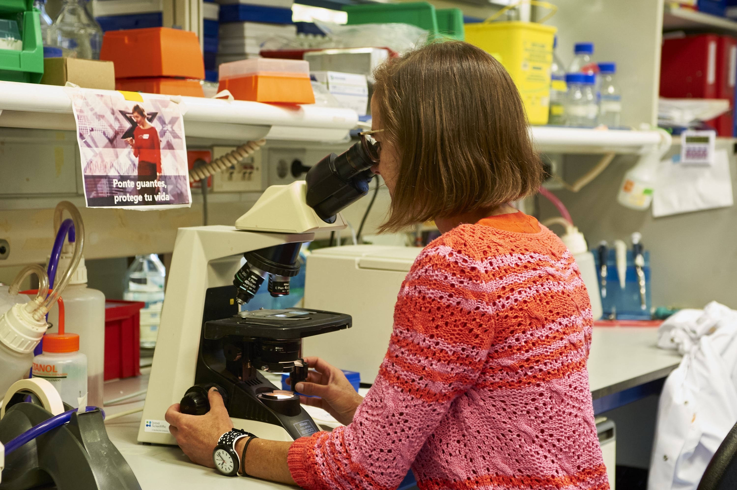 Varias investigaciones relacionan el cerebro con la infertilidad y el metabolismo