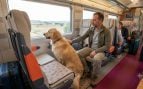Un perro de más de 40 kilos en el vagón de un tren