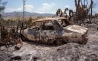 Incendio forestal