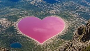 Corazón rosa y NASA