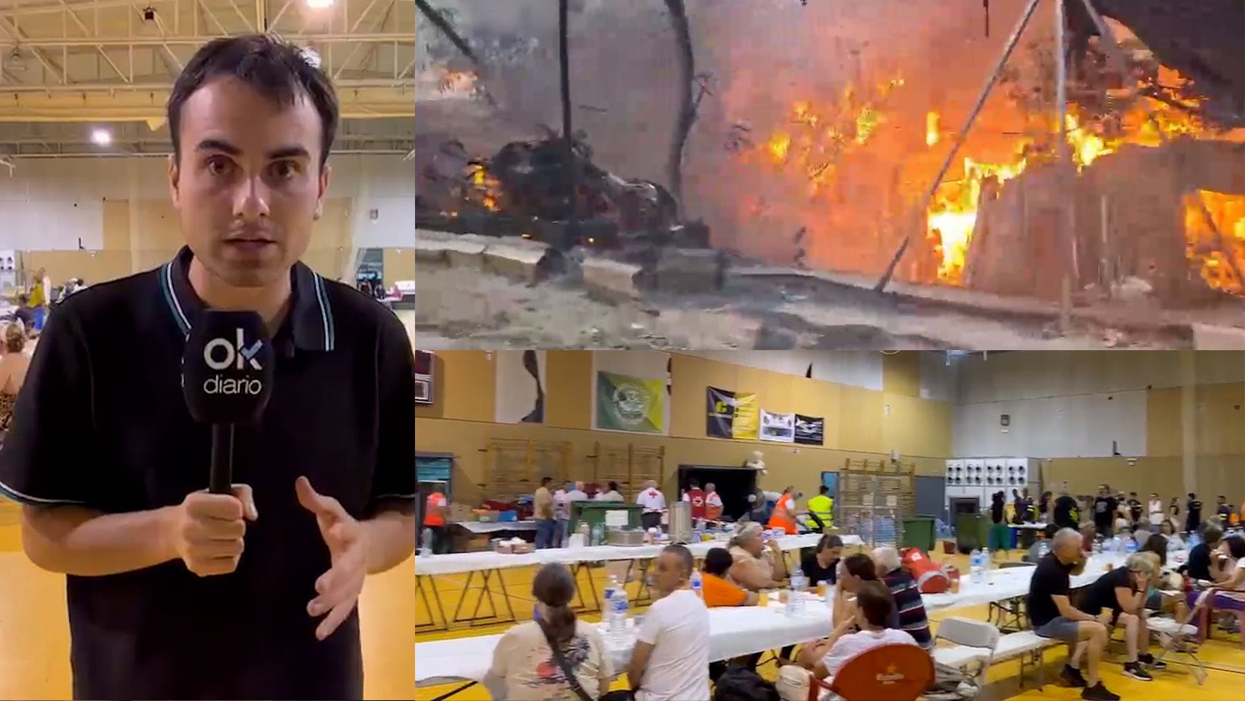 Ayuso pide declarar la emergencia nacional por los incendios en Madrid, que están fuera de la capacidad de extinción
